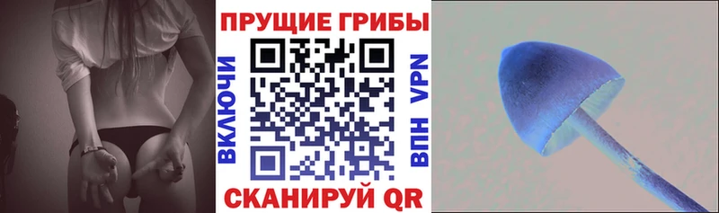 Псилоцибиновые грибы прущие грибы  закладки  Светлогорск 
